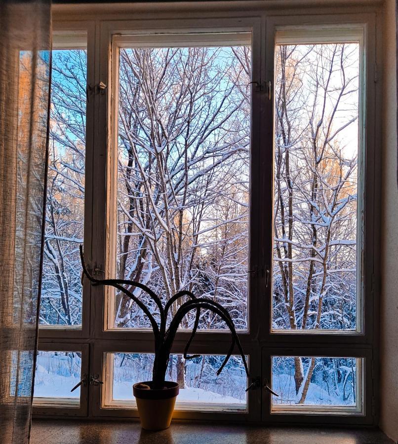 Vanhan Koulun Majatalo-Old School Guest House Kolinkylä المظهر الخارجي الصورة